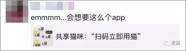 猫咪app官网下载-