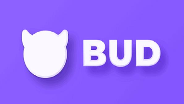 bud游戏下载-bud官方正版下载最新