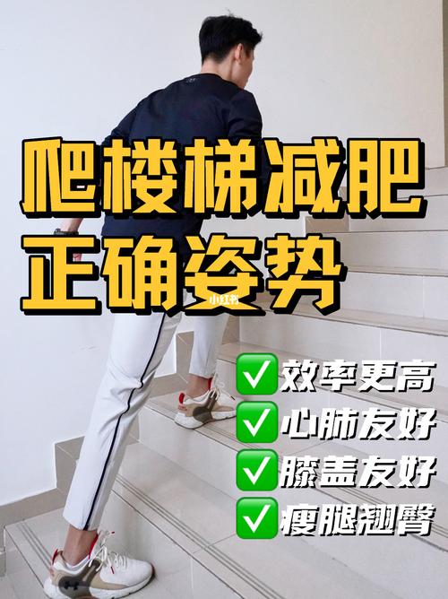 想要爬楼梯-想要爬楼梯减肥最好的方法是